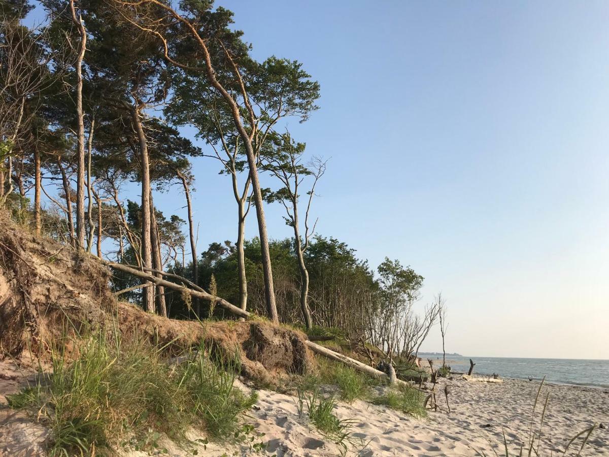 "Kontorhaus" By Ferienhaus Strandgut Борн Екстер'єр фото